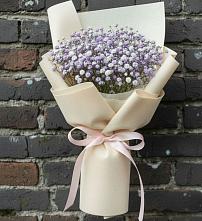 Букет цветов из:  Гипсофила #REPLACE_PRED# Подушкино