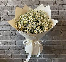 Букет цветов из:  Ромашки #REPLACE_PRED# Подушкино